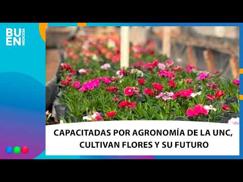 CULTIVANDO el trabajo, la FLORICULTURA con asistencia UNIVERSITARIA da oportunidades de PROGRESO
