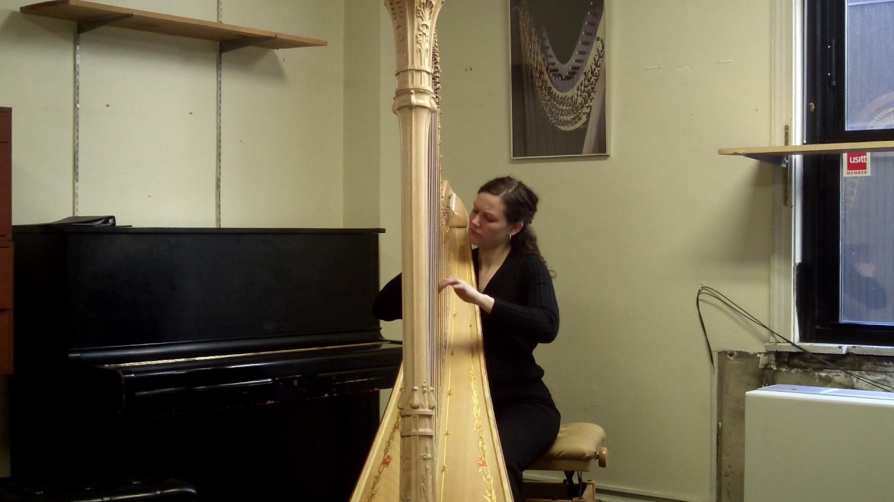 Promotional video thumbnail 1 for Katherine Kappelmann, Houston Harpist