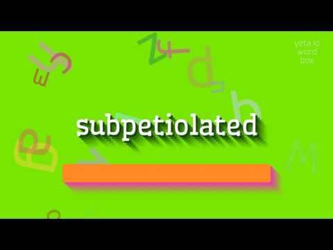 SUBPETIOLATED - HOW TO PRONOUNCE SUBPETIOLATED?