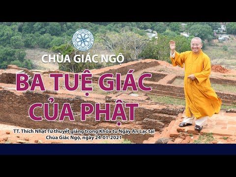 Ba tuệ giác của Phật 