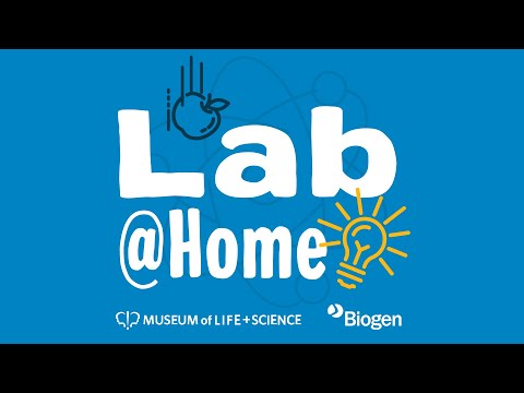 Lab@Home: Scientist Spotlight with Dr. Siobahn Day Grady