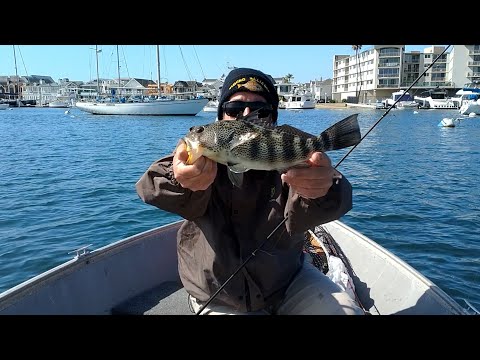 YouTube video about: Where to fish in newport harbor?
