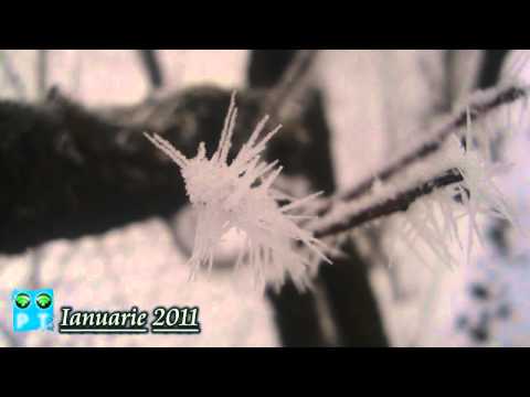 [HD] - Ianuarie 2011 geros la PECHEA!