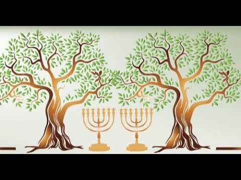 Biblija - Dva Svjedoka... (prevedeno na hrvatski)