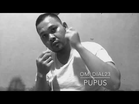 Pupus - (cover)