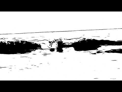 Cacha pregos Vera Cruz Bahia Brasil 