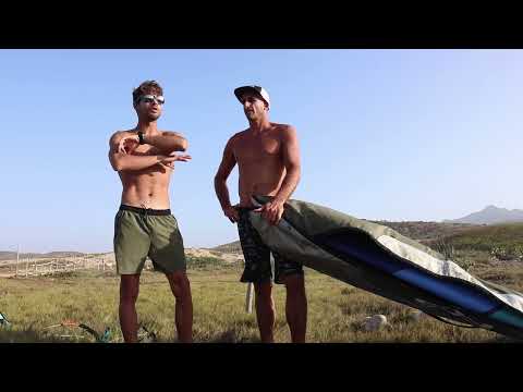 THE SEARCH  2024  by Diony Guadagnino