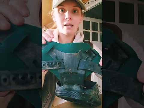 Hoof Boot Reviews - Renegades, Scoot Boots, & FlexBoots