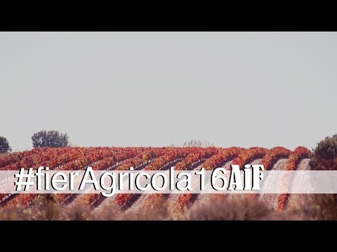 Fieragricola, un punto di riferimento internazionale nel settore agricolo