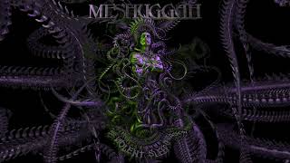 MESHUGGAH - INTO DECAY