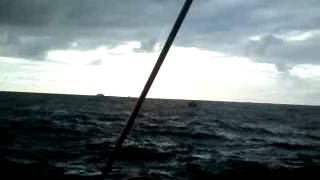 Dom Manoel VII pesca da sardinha Part2