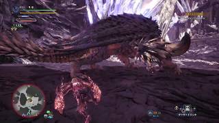 モンスターハンターワールド　 リマスター版　± 29-1
