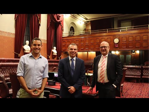 Parliament Unpacked: Parliamentary Committees