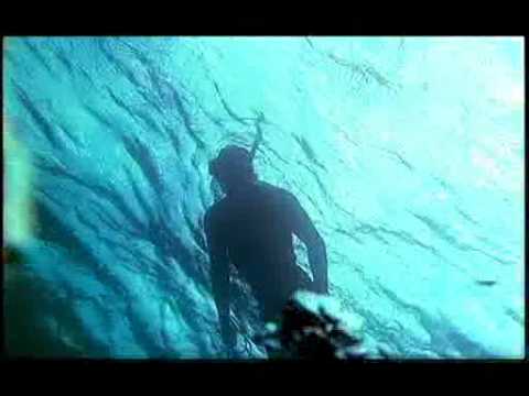 Surf Roots music with Groundation featuring Don Carlos