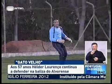 Gato velho