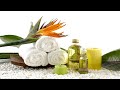 6 HEALTH BENEFITS OF USING OIL IN BELLY BUTTON