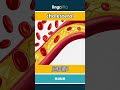 cholesterol - 胆固醇 video thumbnail