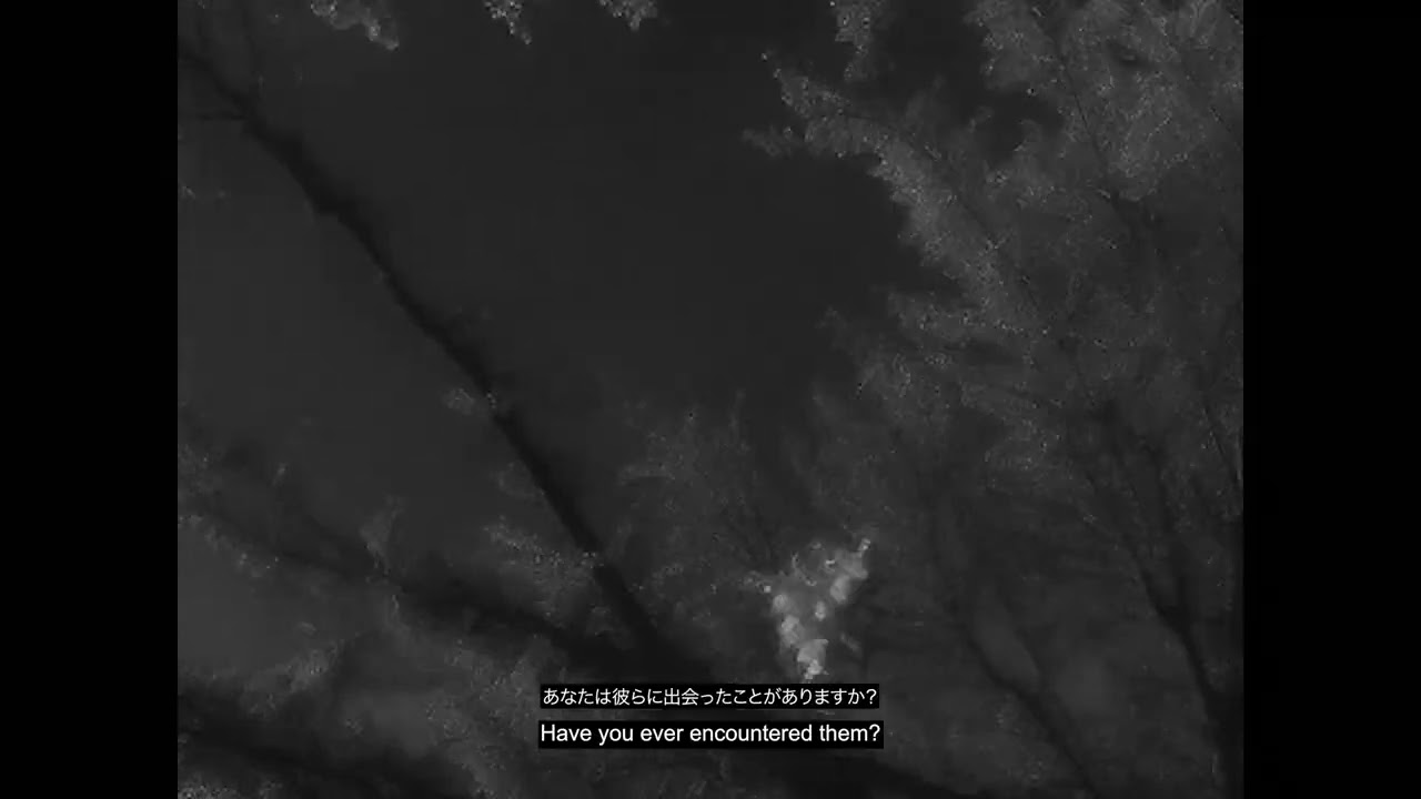 SHADOW OF THE SAKURA - TRAILER