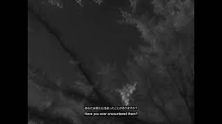 SHADOW OF THE SAKURA - TRAILER