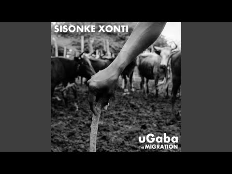 The Migration Suite Part II