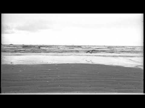 Verão video