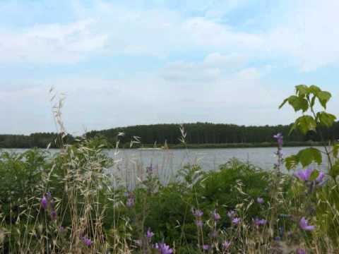 verra' l'estate   Malika