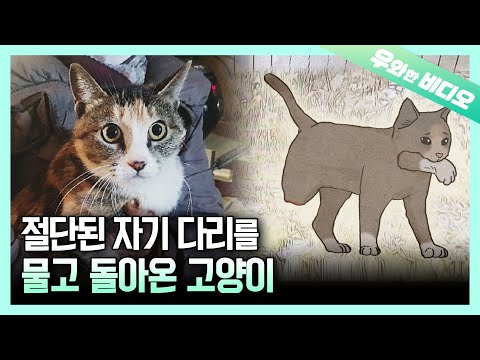 아이콘