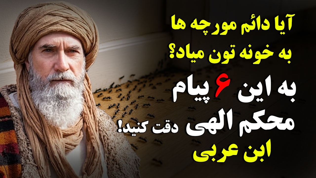 اگه مورچه ها تو خونه تون دیده بشه - به این 6 پیام از طرف خداوند (ج) به شماست! باید