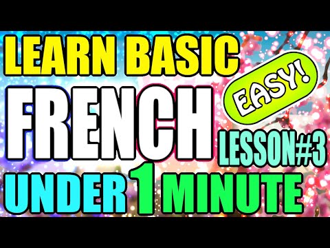 Learn Basic French In 1 Minute | Lesson 3
