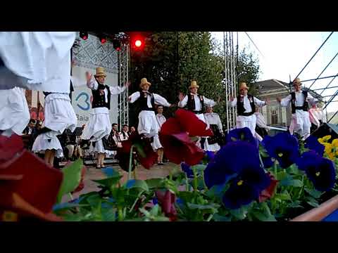 Ans  Transilvania, dans codru