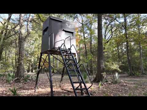 Archive 14 Video thumbnail