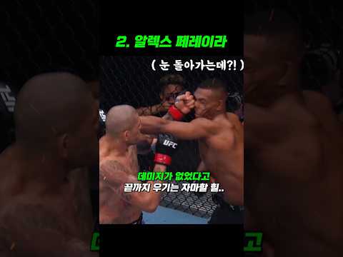 2024년 UFC 최고의 KO 명장면 - 스포츠중계 올킬티비
