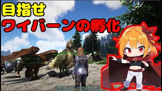 初心者がワイバーンの孵化に挑戦【Ark: Survival Evolved】