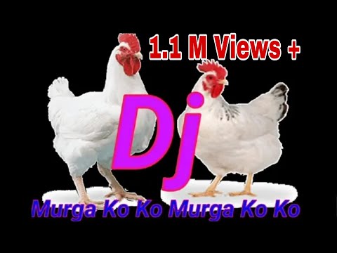 murga dance hard bass song Mp4 3GP Video & Mp3 Download unlimited Videos Download murga dance hard bass song Mp4 3GP Video & Mp3 Download unlimited Videos Download