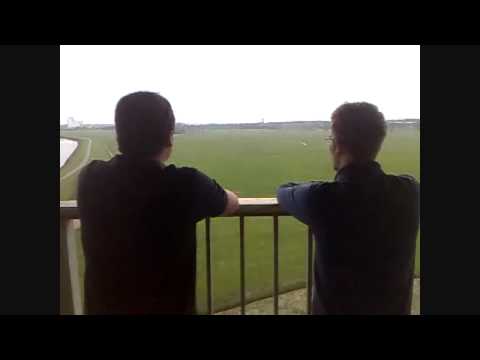 Schaflos in Oldenburg 2