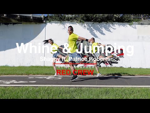 Whine & Jumping - Shaggy ft. Patrice Roberts | Red Crew Dance Fitness