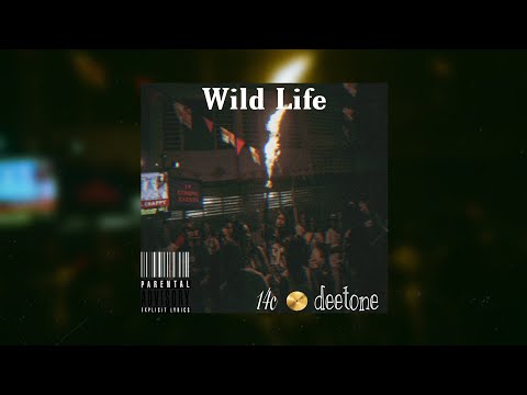 DeeTone - Wild Life (Official Audio)
