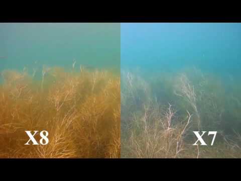 ActionPro X8 vs. ActionPro X7 - Runde 6: Videoqualität Unterwasser | Test & Review [Deutsch]