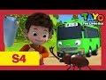 Tayo S4 EP25 L Duri S Homework L Tayo The Little Bus L Season 4 Episode 25