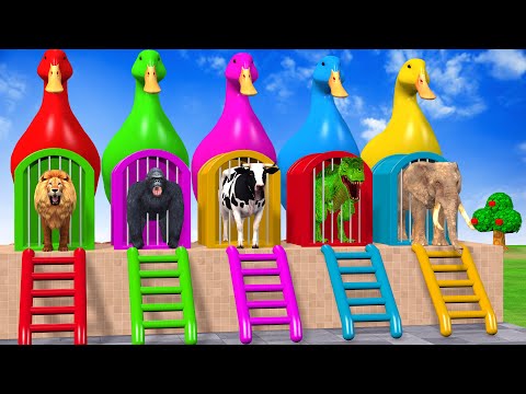 Long Slide Game With Cow Elephant Gorilla Hippopotamus Tiger - 3d Animal Game - Funny 3d Animals