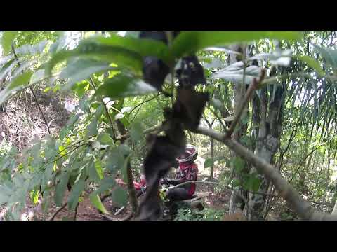 5º Trilhão de Baixa Grande de Inhambupe - BA Vídeo 3