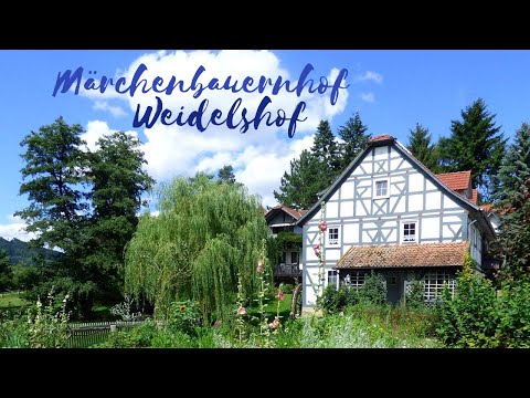 Video 6 aus  LandSelection Märchen-Kinderbauernhof Ponyhof  -  Weidelshof                    Kassel-Edersee-Berge