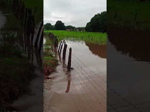 Cheia no Riacho do Cavalos em Barro Ceará hoje 24/02/2026