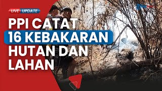 Balai Pengendalian Perubahan Iklim Sulawesi Catat Tana Toraja Alami 16 Karhutla Selama 2023