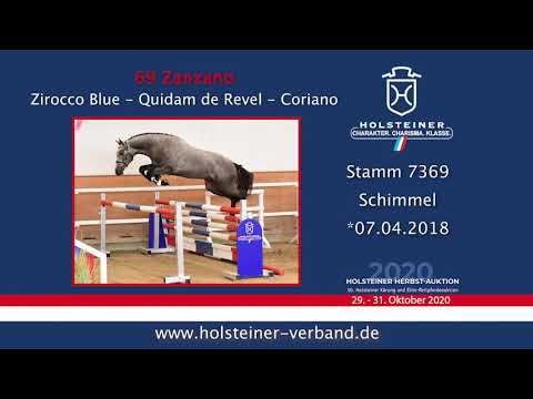Holsteiner Körlot 2020 | Nr. 69 Zanzano