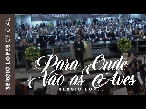 Para Onde Vão as Aves - Sergio Lopes (Ao Vivo)