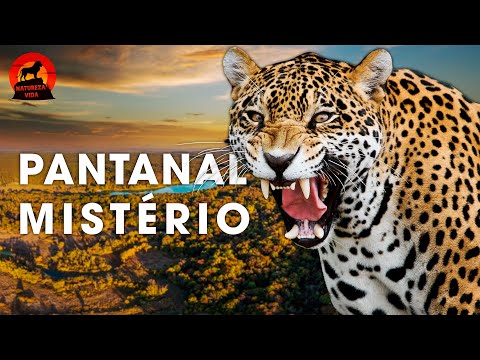 PANTANAL SELVAGEM | Caçadores Implacáveis e a Beleza Natural Intocada | Documentários animais
