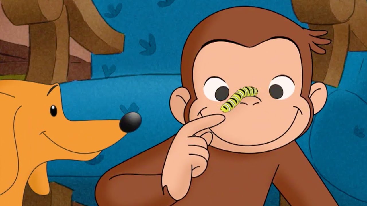 O Amigo Lagarta do Hundley 🐵  Episódio Completo 🐵 George, o Curioso 🐵 Desenhos Animados