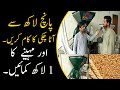 Atta Chakki Business In 5 Lac Flour Chakki Business In Pakistan Earn 1 Lac Per Month