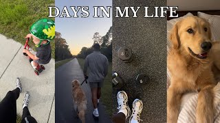 DAYS IN MY LIFE: Jax’s obedience training, upper body workout, babysitting 